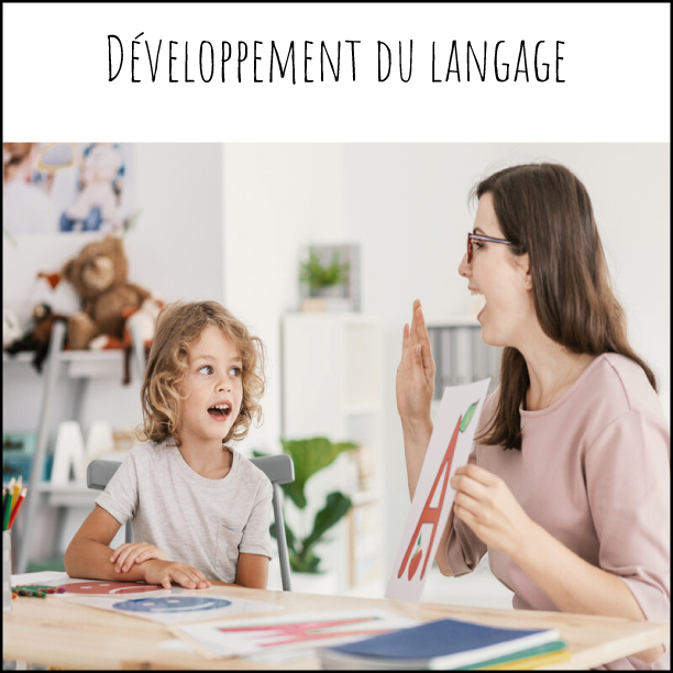 Développement du langage